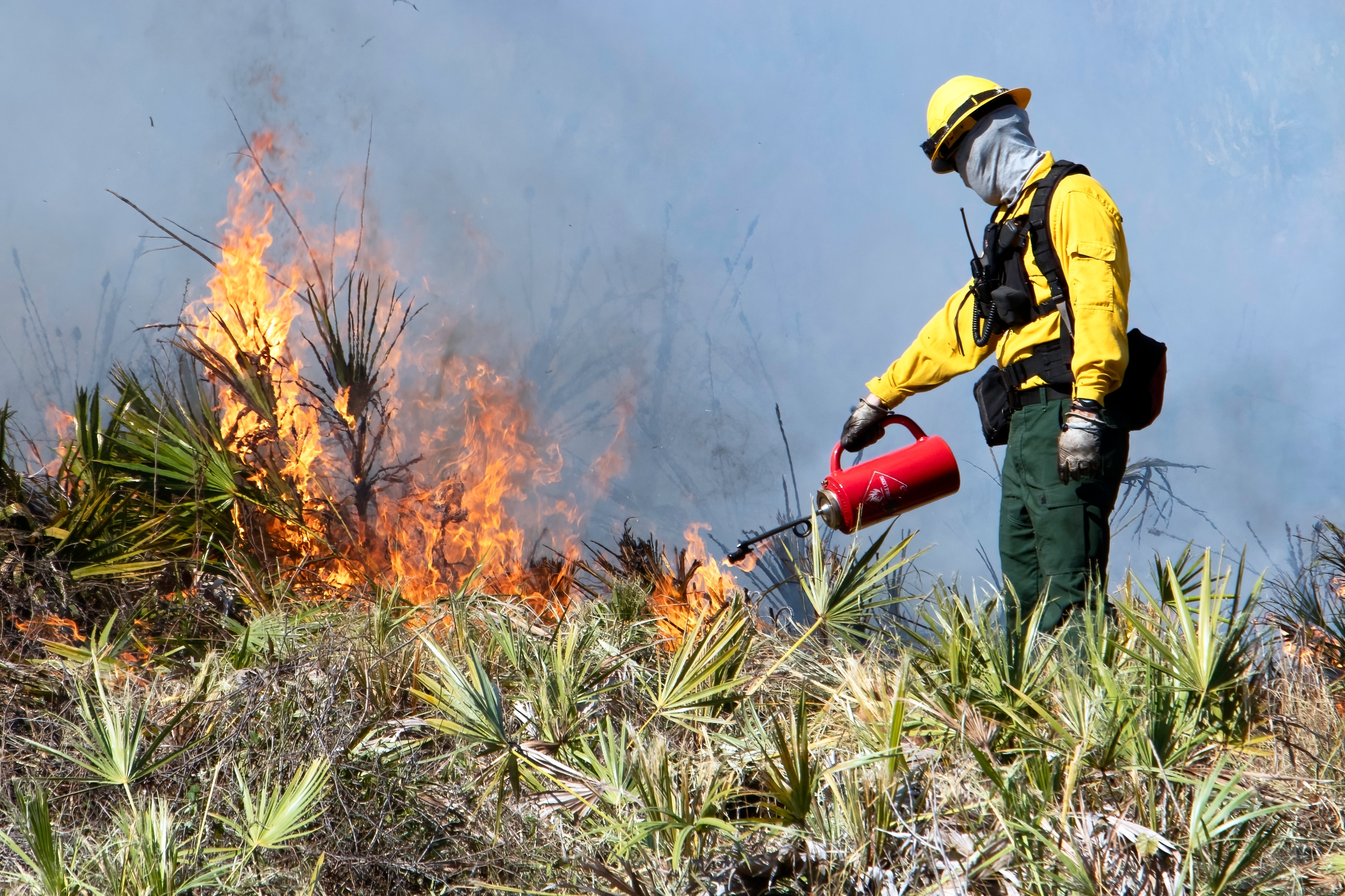 Prescribed Burn Planning With Ground‑Truth Fuel Moisture