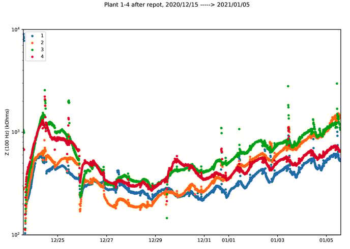 Root and Vegetative Growth